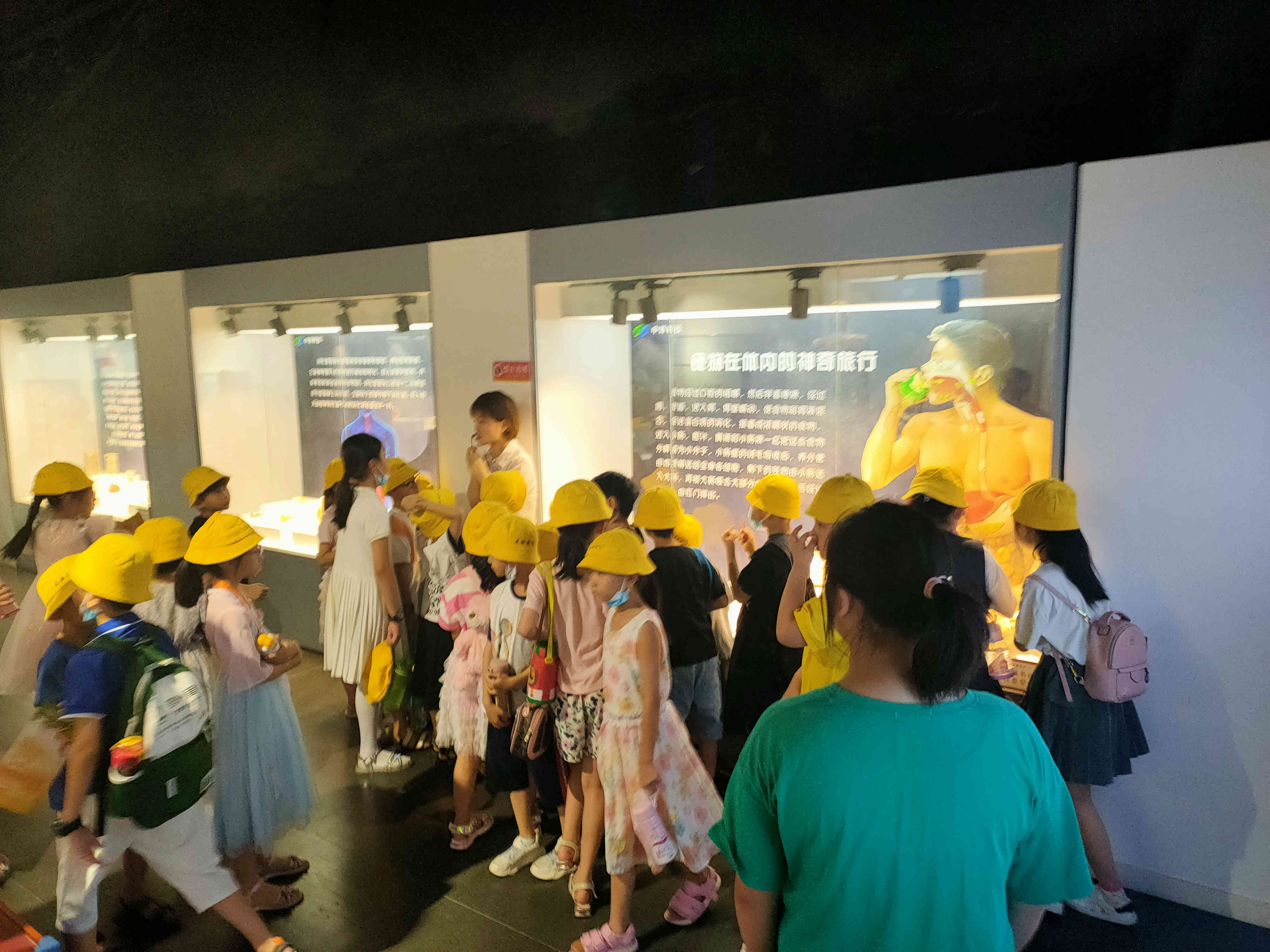 暑假旅游推荐郑州亲子游,端午带孩子去哪玩郑州周边