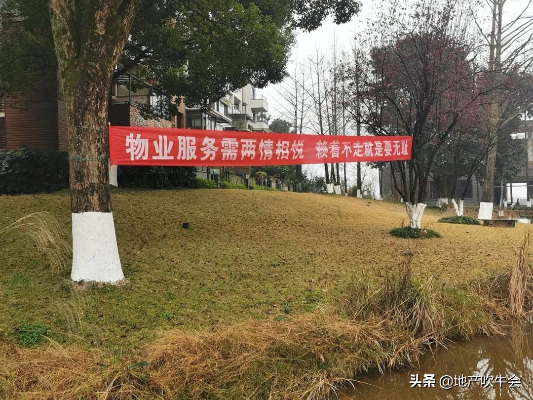 中冶北麓原业委会,中冶北麓园物业问题