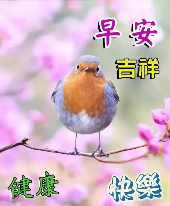 2023年农历是什么年癸卯年,2023年农历癸卯年是金兔年吗