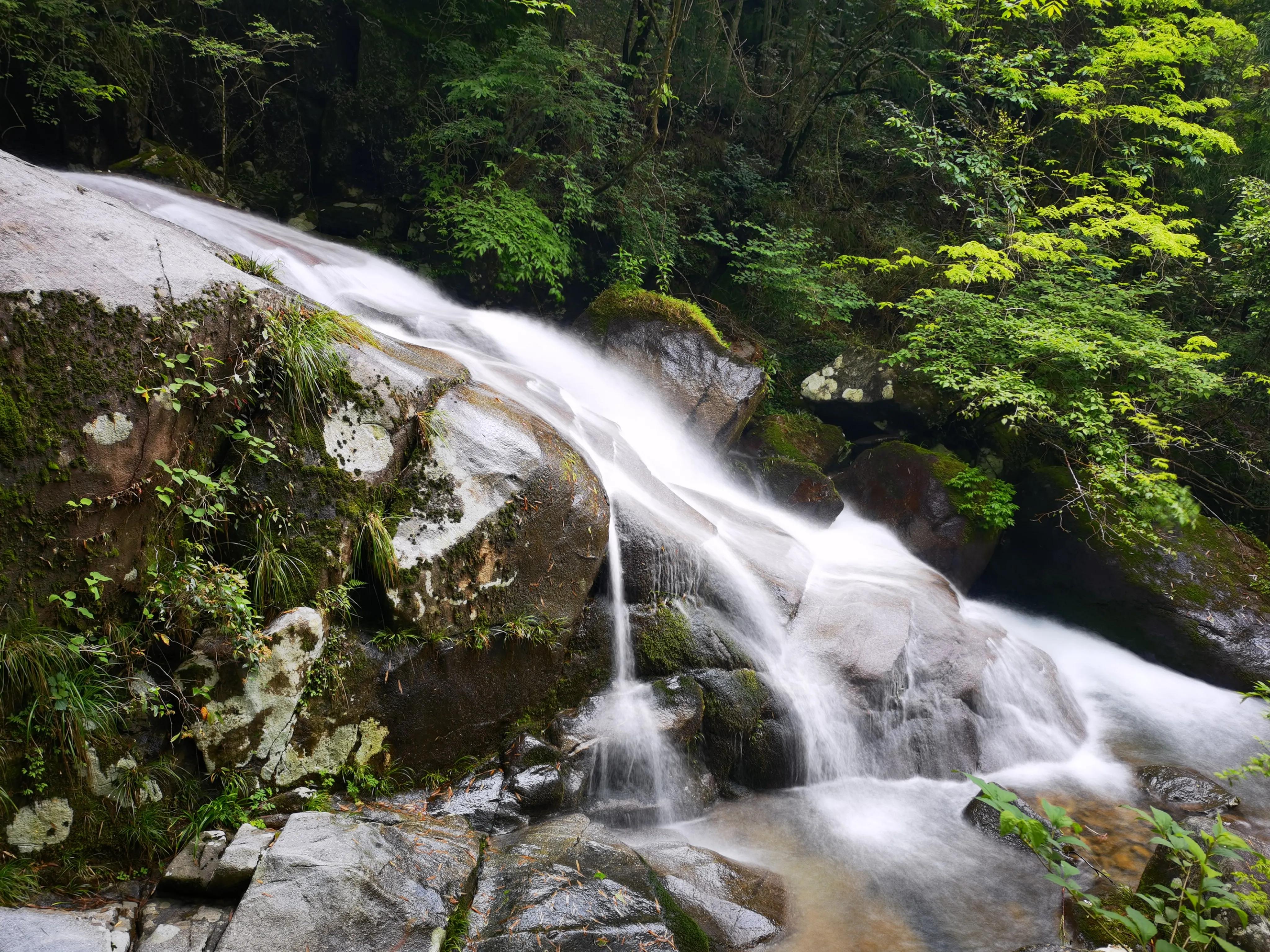 浏阳大围山森林公园浏阳河源头,大围山杜鹃花在哪个景点看