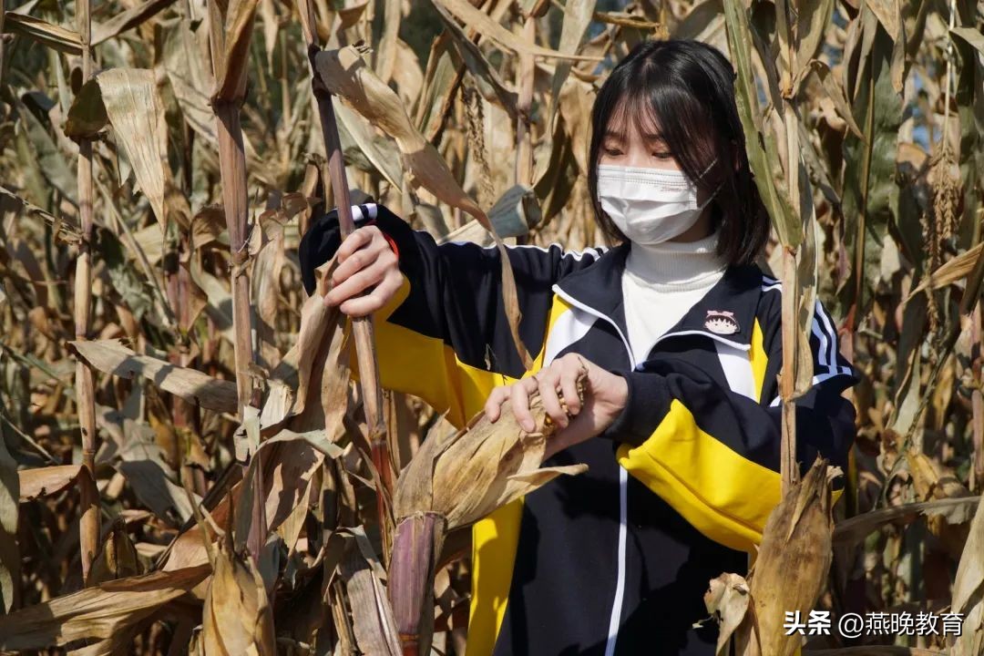 回首2022，一路风雨，沧州英华办学成果亮点丰硕！