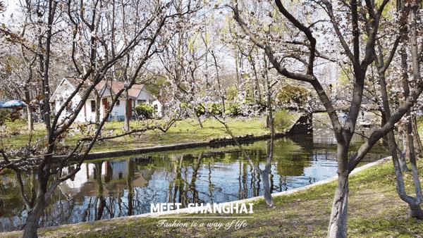 实用全上海532家公园攻略速速收藏,上海攻略必去的公园