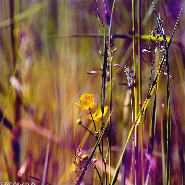 100幅经典摄影作品欣赏,100幅精品摄影图