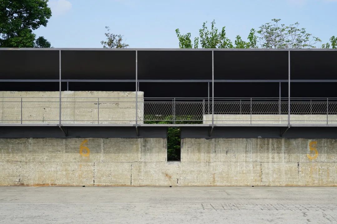 特别策划拯救,特别策划完整视频