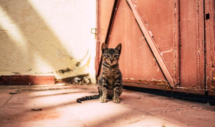 10年来中国畅销童书推荐29本,必看的100本童书