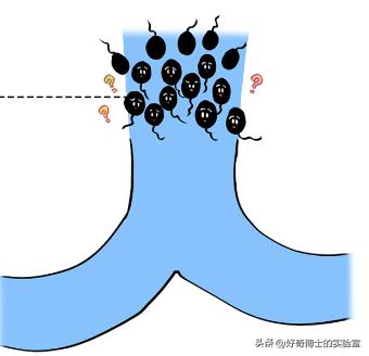 为了延长时间，同房时忍着不射有用吗？对身体会造成哪些影响？