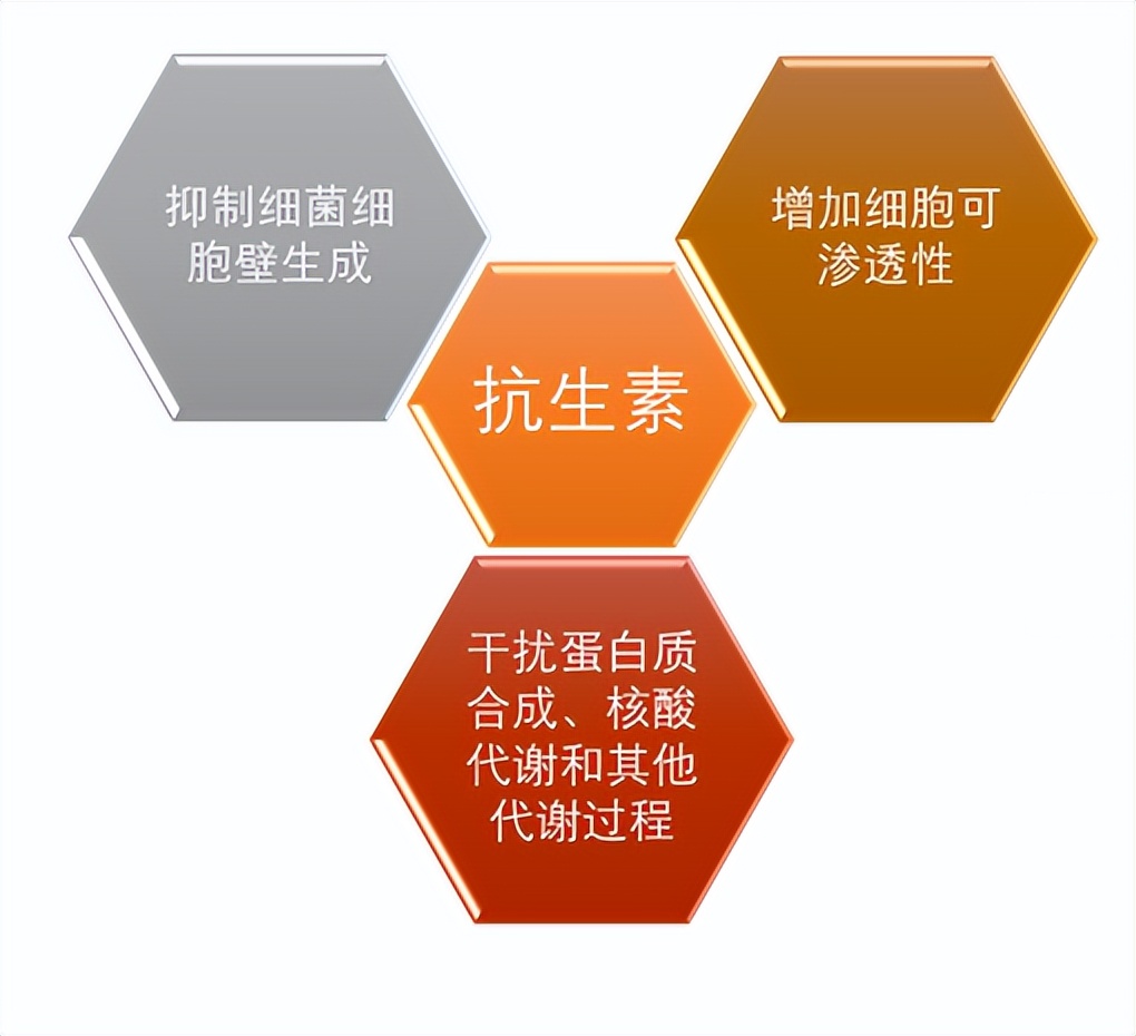 大环内酯（Macrolides）类抗生素药物综述