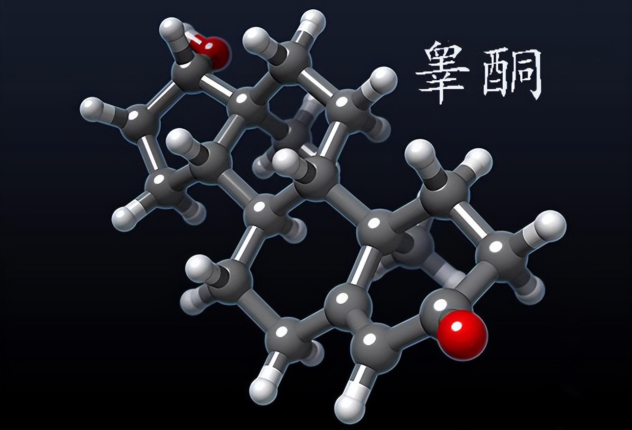 女性雌激素会和雄激素一起高嘛,雄激素分泌过多和雌激素有关吗