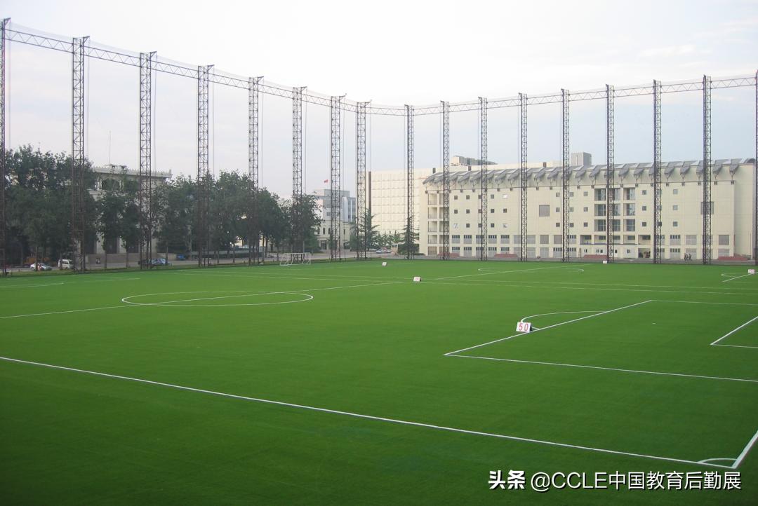 人工草坪厂家多利隆人造草坪,多利隆人造草坪一站式服务