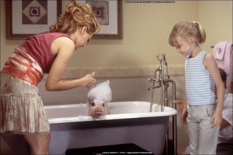 女性力量的喜剧抒发：以“麻辣宝贝”为例