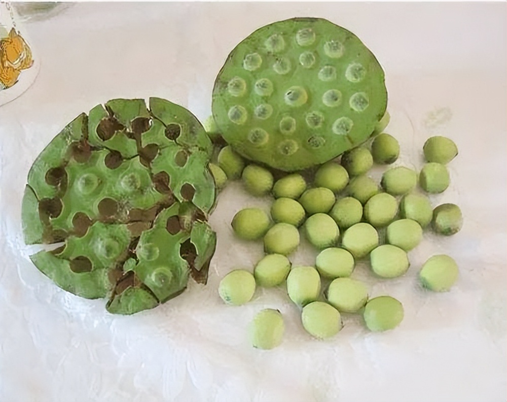 种莲藕能赚多少钱,90后种莲藕发家致富