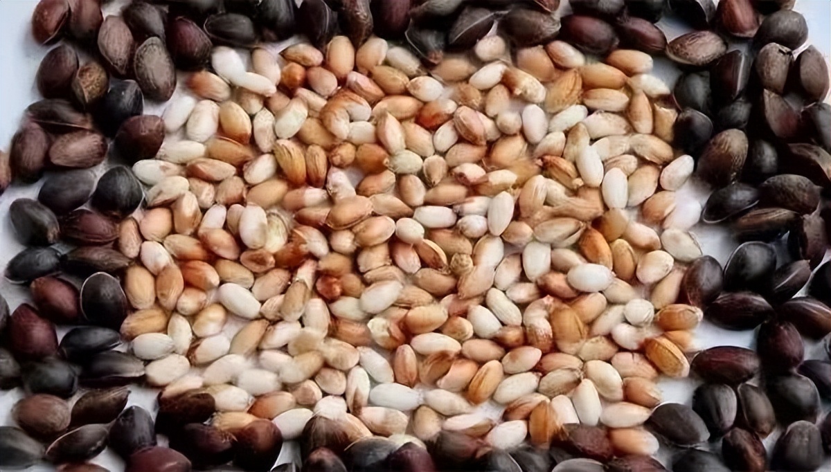 浼氫笢鍐ぉ,浼氫笢鍐姘旀俯