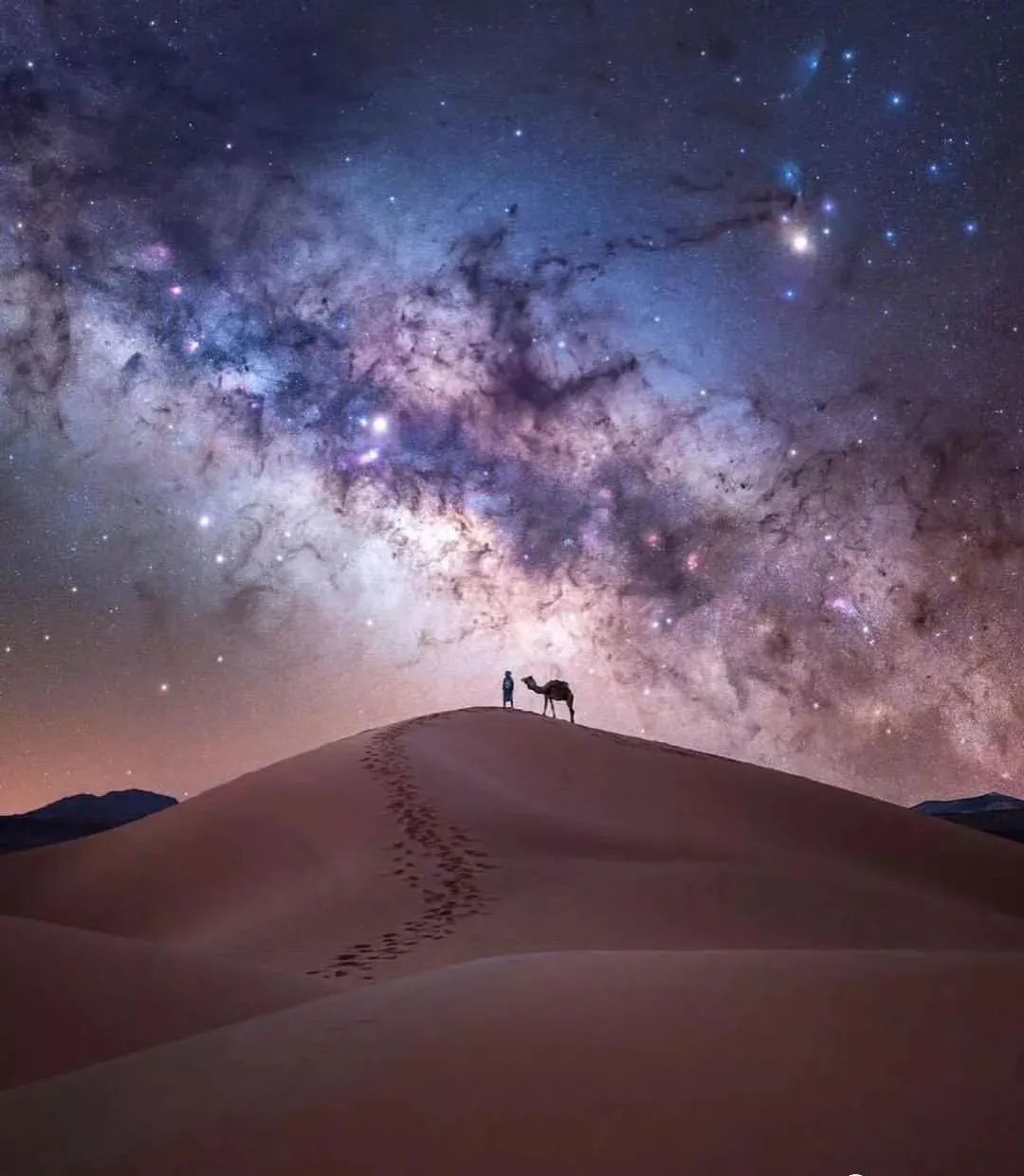 学习优秀摄影作品,摄影教学作品欣赏