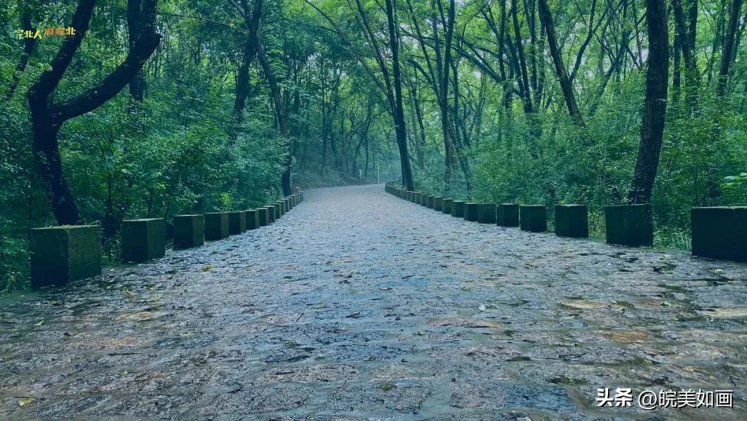 皖南适合避暑的高山村落,小众目的地冷门避暑景点