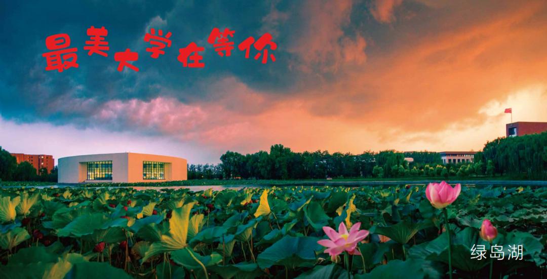 沈阳城市学院2023年招生章程,沈阳城市学院招生简章2020