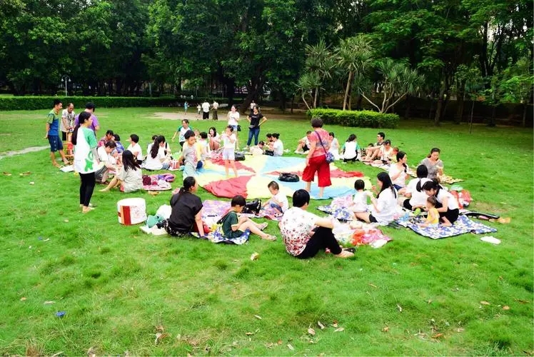 森林中空气负离子浓度有什么作用,原始森林空气中负氧离子指数