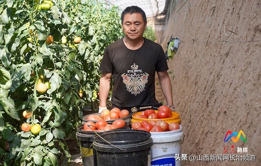 乡村振兴示范村主任,上党区郝家庄乡西下郝村