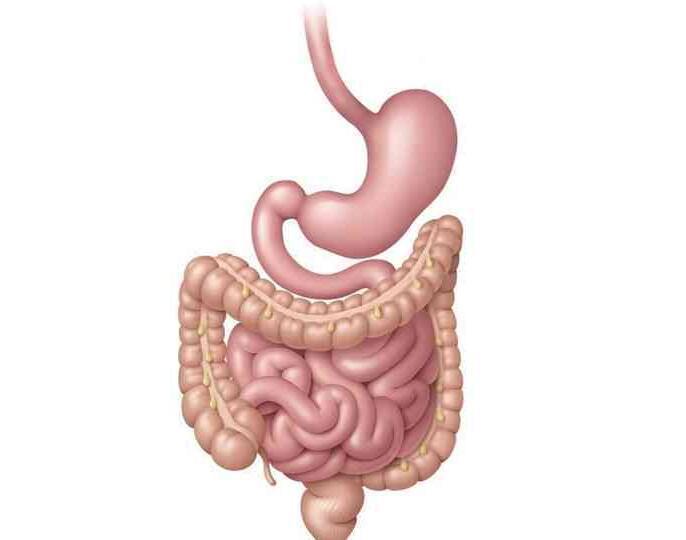 经常放屁多是肝不好帮你揪出原因,经常放屁与肝不好有关吗