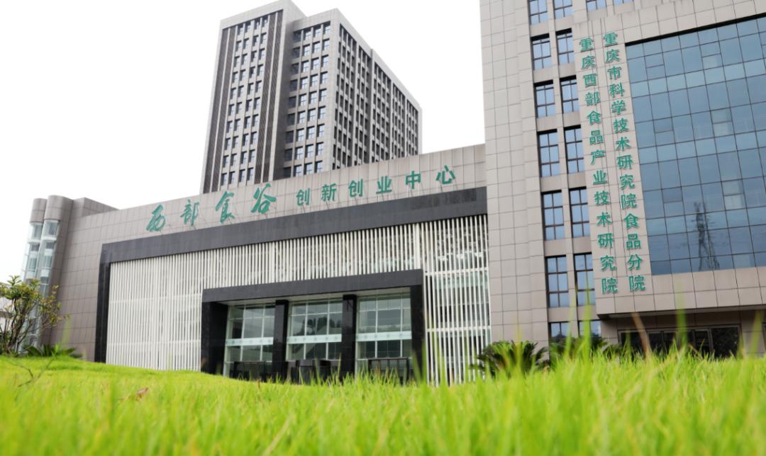 发布会丨从土特产到好食品：重庆出台“黄金十条政策”，打造食品及农产品加工全产业生态