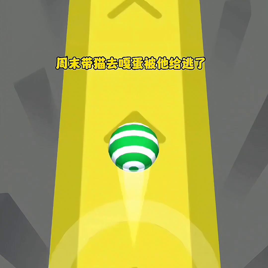 📖名:缘来猫影帝2@抖音短视频