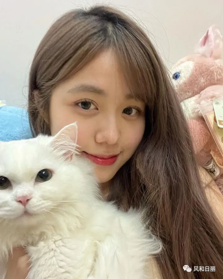 最近几年港姐三甲,2023港姐选美前三名简介