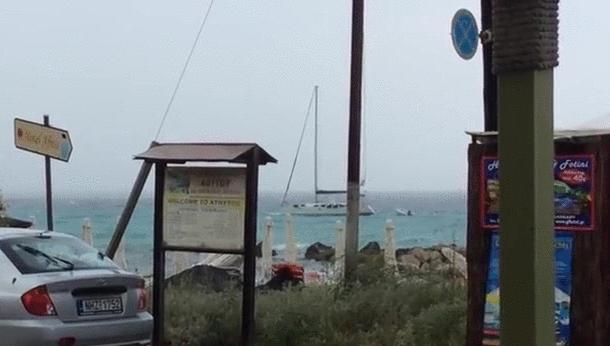 100个难得一见照片，砍伐巨树，运输军舰的巨轮，治疗风湿病的熊