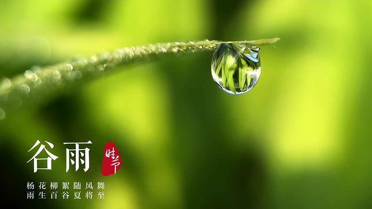 十首谷雨诗词留住最后一抹春色,古诗词名句网谷雨十首最美诗词
