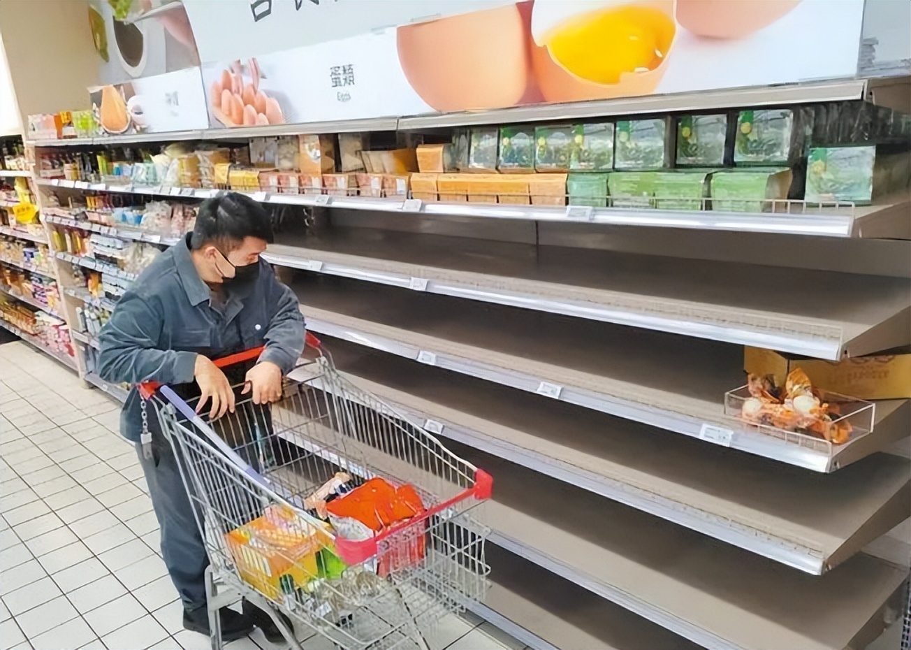 澳大利亚鸡蛋价格表,澳大利亚鸡蛋馒头多少钱一个