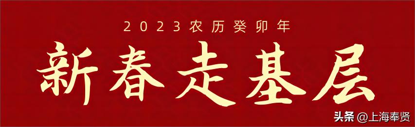 出圈了！这只上海人最熟悉的兔子，正从奉贤跳向世界！丨新春走基层
