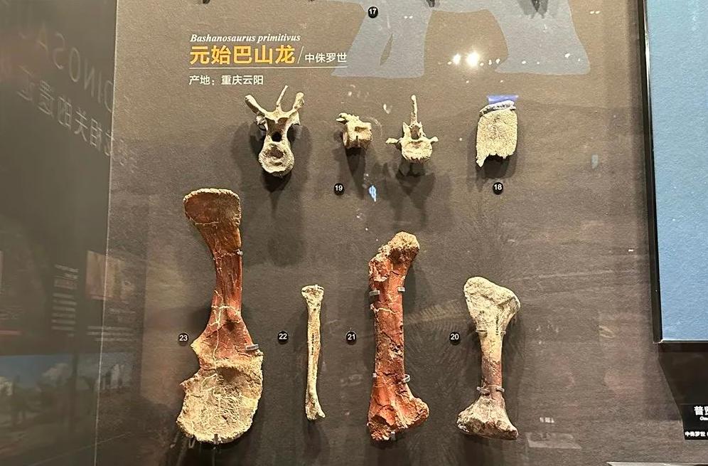 重庆自然资源科普馆要门票不,重庆自然资源科普馆一共几个馆