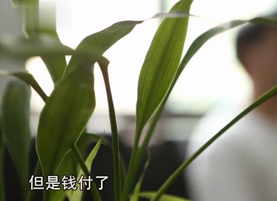 快递诈骗为啥不抓寄快递的,新型骗局快递包裹怎么举报