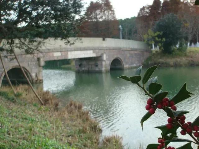 昆山花桥有几个公园,昆山市花桥区哪个公园好玩