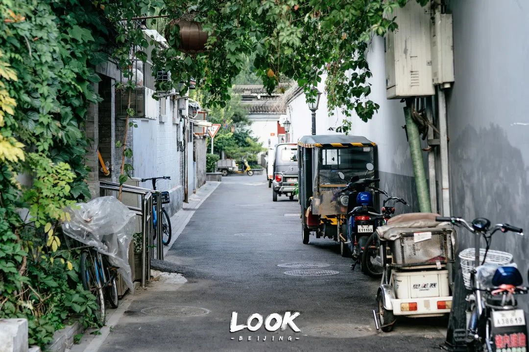 北京什刹海赏景的好地方,北京什刹海附近攻略