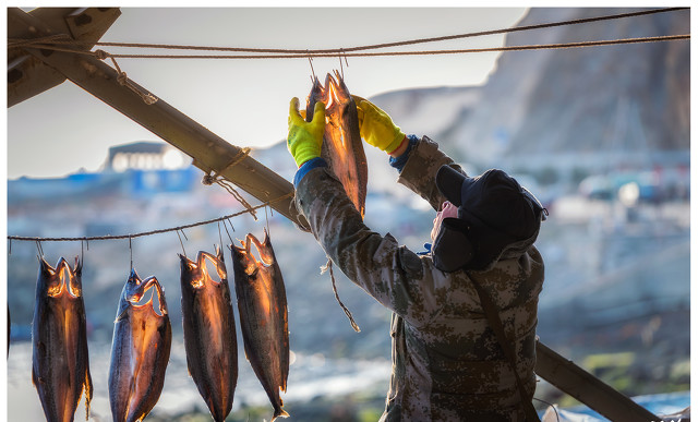 青岛大连足球城,大连国际足球城