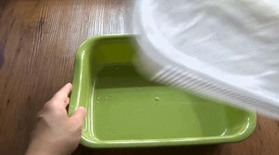 家庭阳台各种各样蔬菜种植视频,阳台种蔬菜需要加微生物有机肥吗