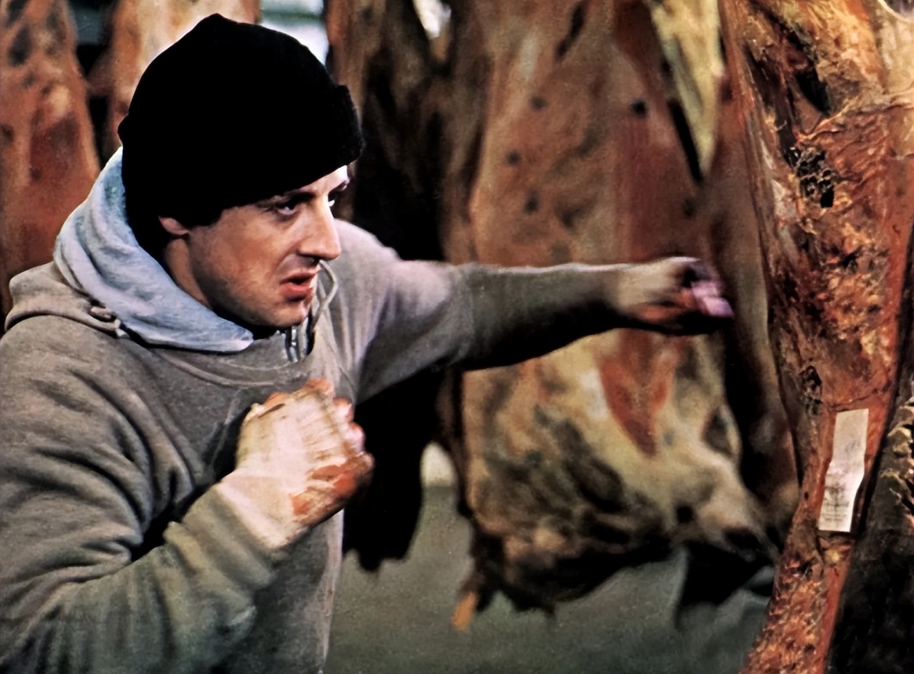 洛奇奋斗,跟洛奇差不多的拳击电影