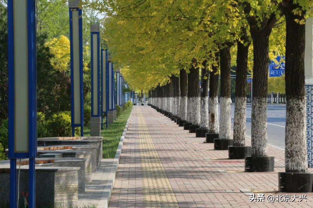 高颜值的大兴,拼的是实力!