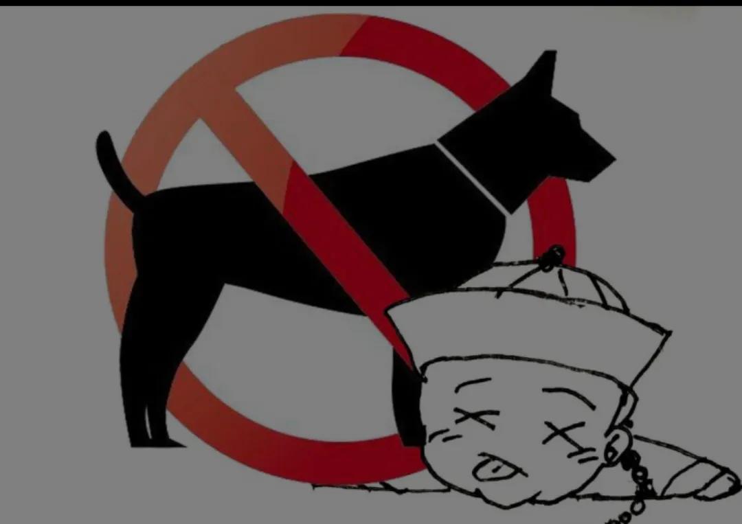 什么民族不吃羊肉狗肉,满族人不吃狗肉是怎么回事