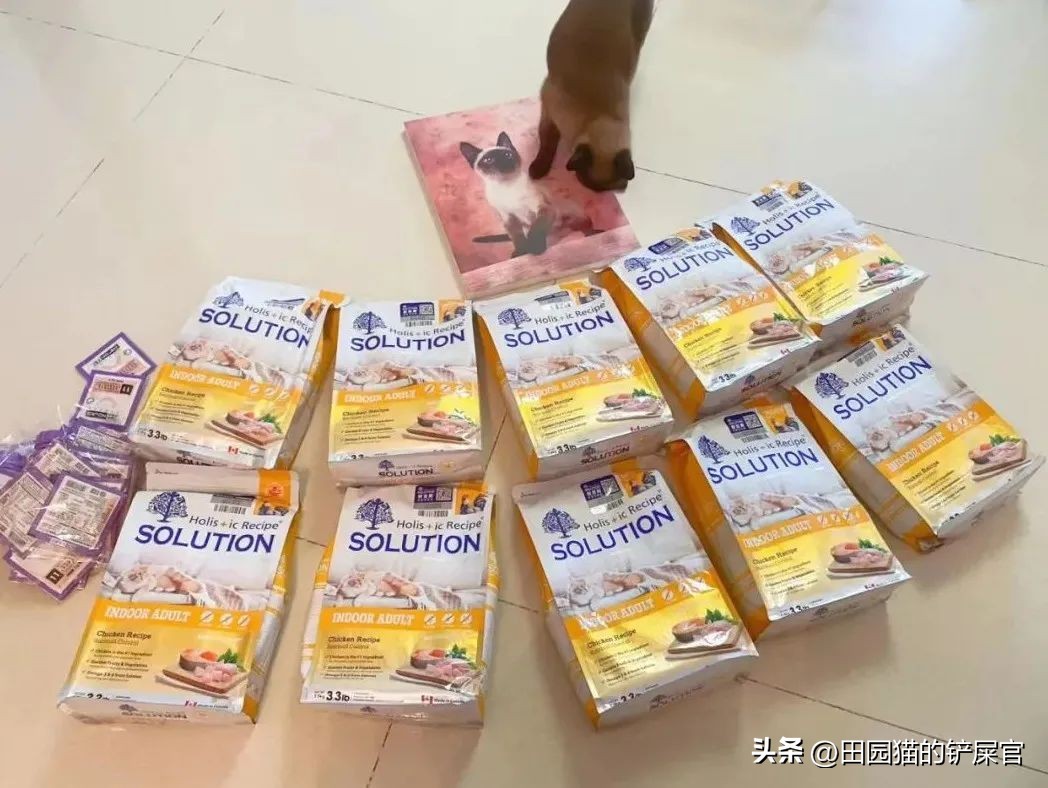 2018年全国宠物展排期表,深圳宠物展会2021排期明细表