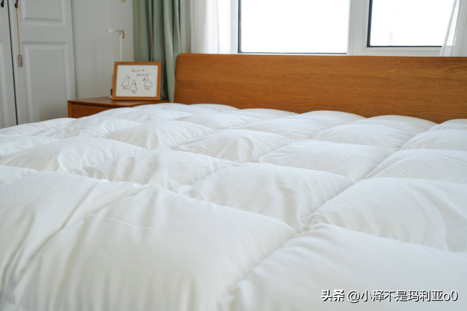 花1000多买被子,花1000买蚕丝被值不值