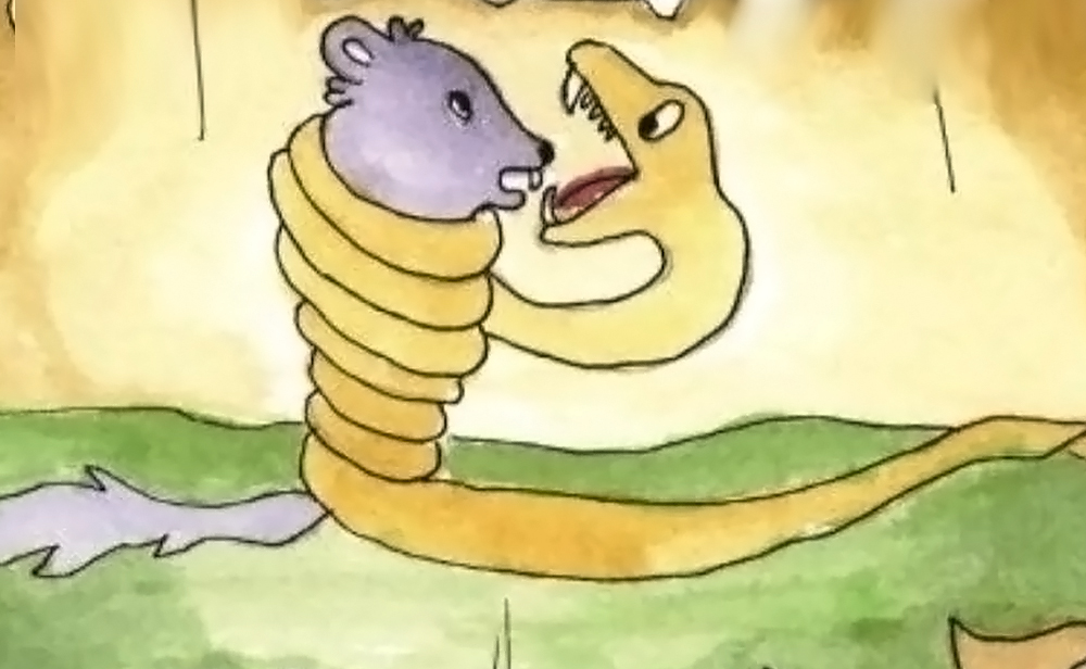 180斤巨蟒吞下山羊后藏身灌木丛,40斤巨蛇杀死巨蟒