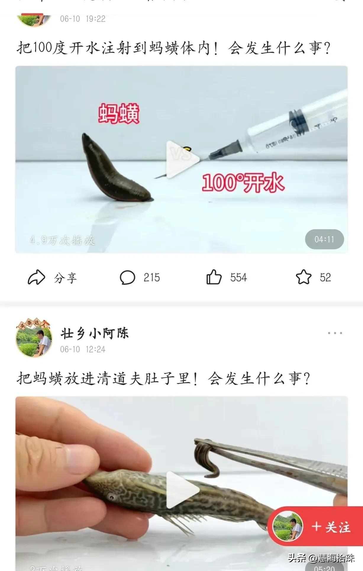 为什么有些人喜欢杀动物,为什么有人会虐猫或虐狗