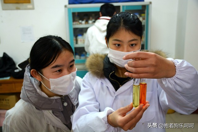 新的一年带给你吉祥和好运的春联,18副春联迎接你的专属好运