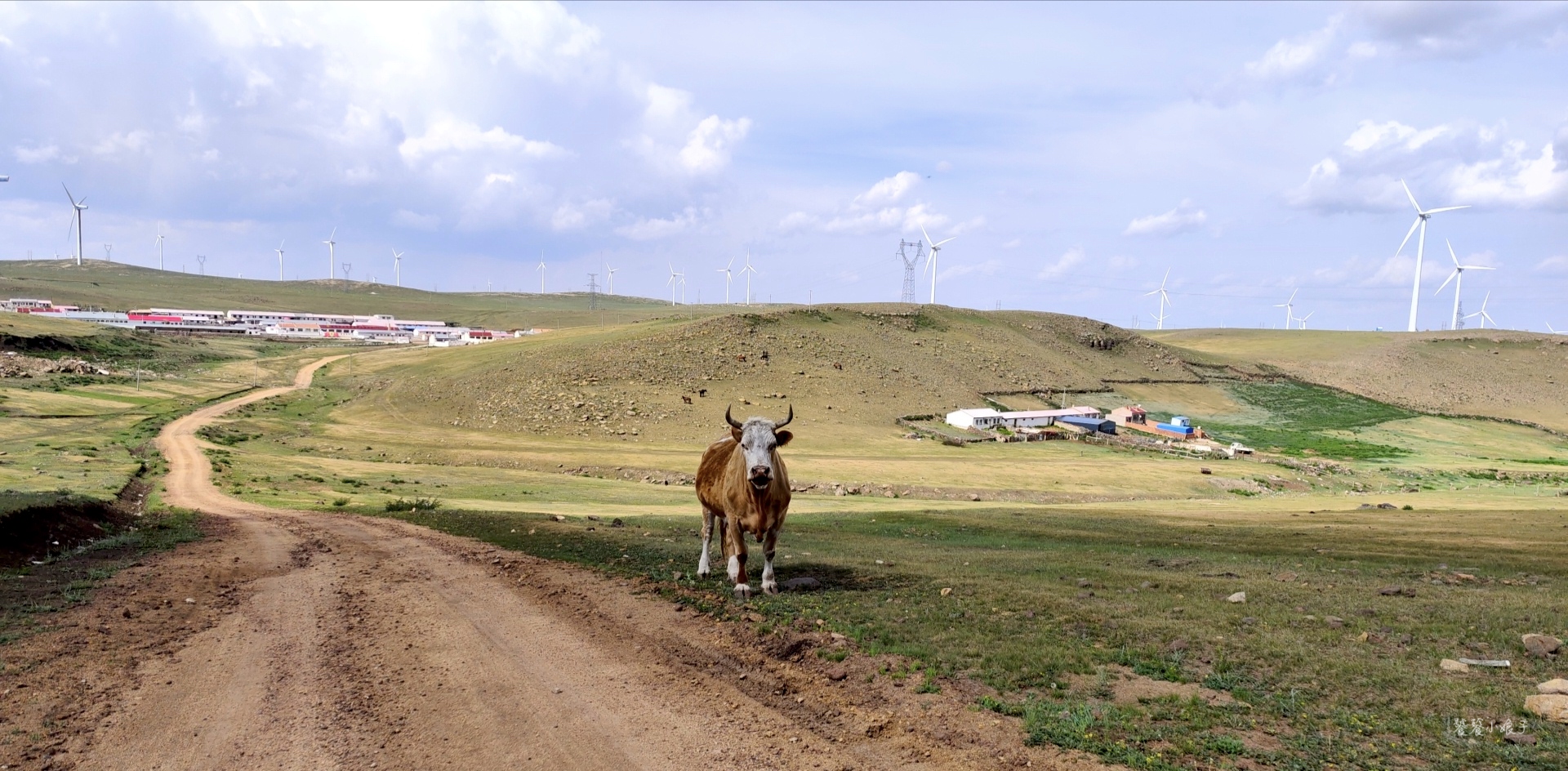 内蒙古草原自驾游景点排名榜最新,乐享内蒙六日游内蒙古避暑胜地