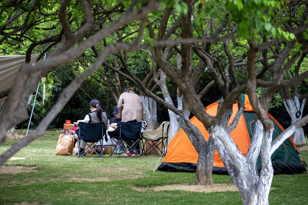 春天的第一场露营,黄埔夏天露营地点推荐