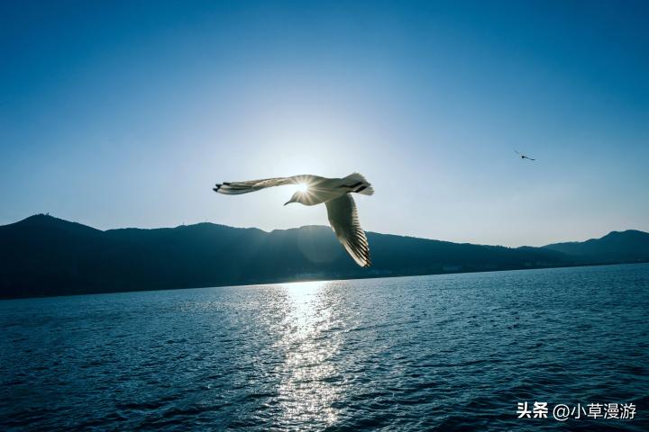 云南旅行经典路线推荐一下,云南最值得去旅行的地方有哪里