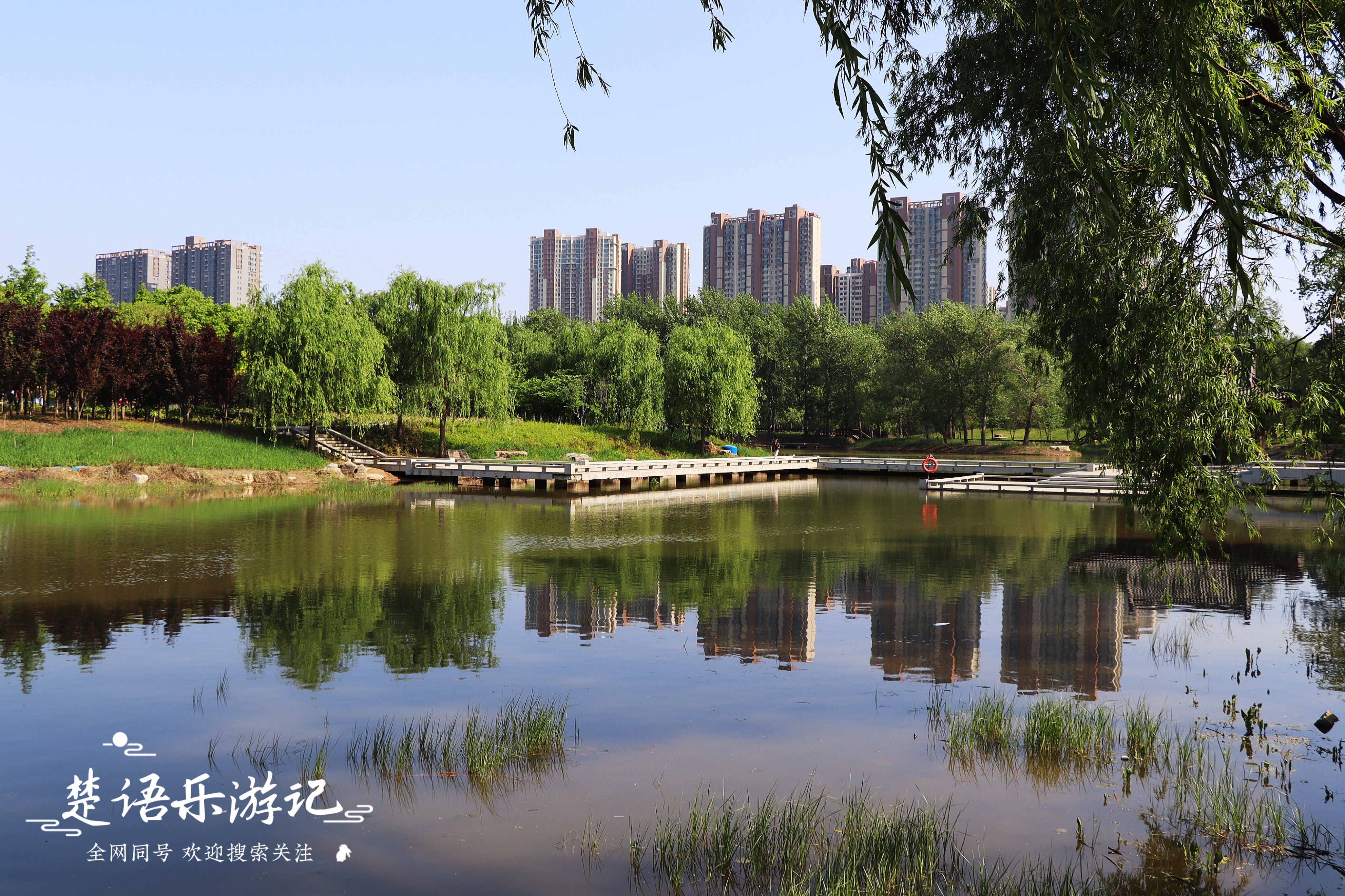 郑州周边有哪些花海,郑州十大网红景区