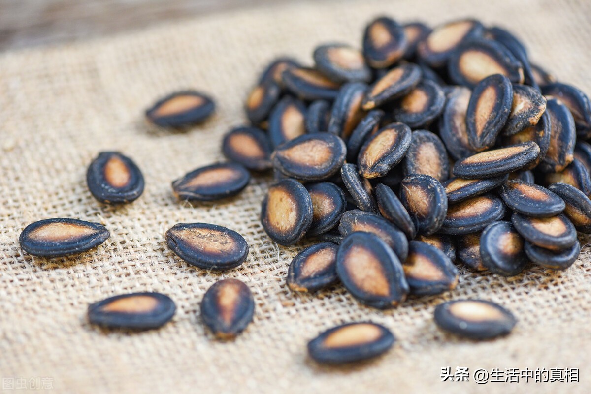 为什么嗑瓜子会让人上瘾,为什么会磕瓜子上瘾