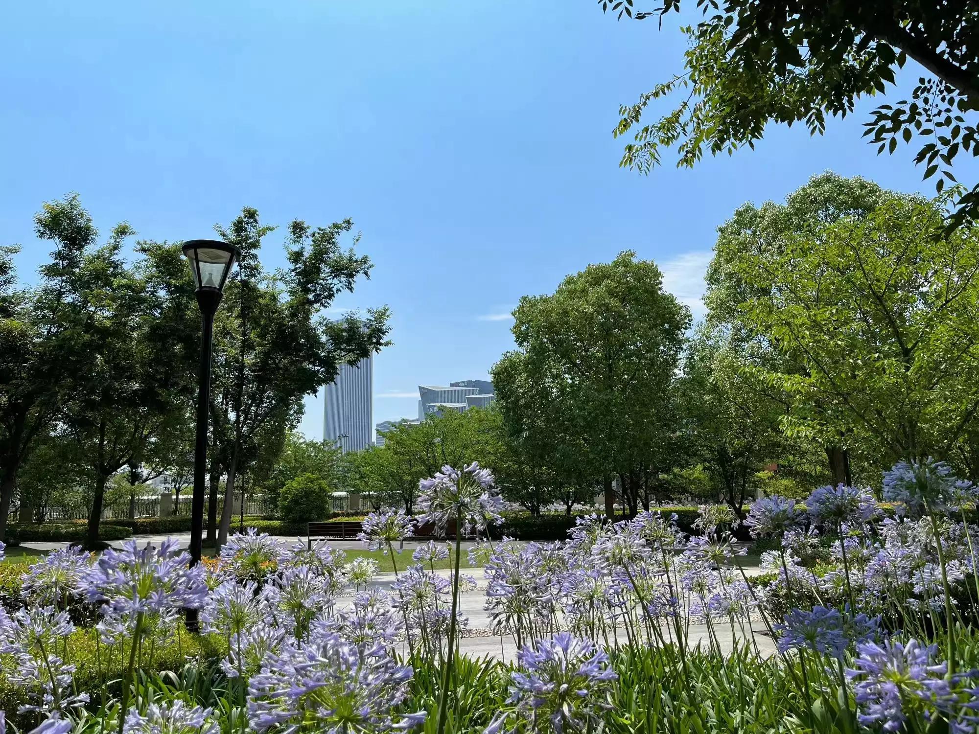 上海浦西滨江骑行攻略,上海休闲路线