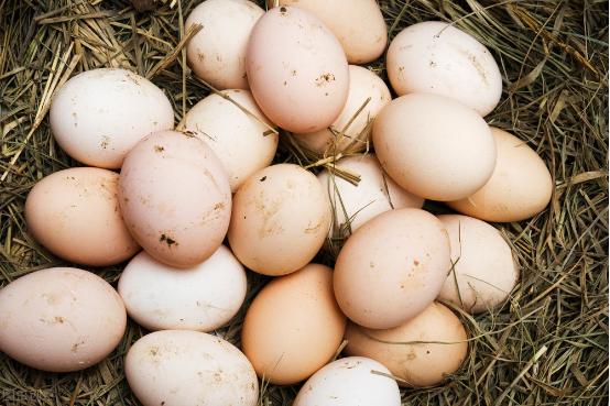 中年人怎样吃鸡蛋最有营养,鸡蛋鸭蛋鹅蛋哪种蛋营养价值最高